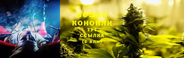 Альфа ПВП Бородино