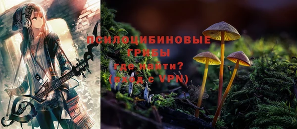 Альфа ПВП Бородино