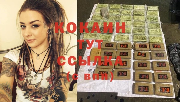 Альфа ПВП Бородино
