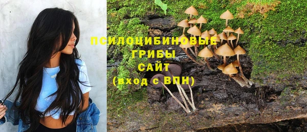 Альфа ПВП Бородино