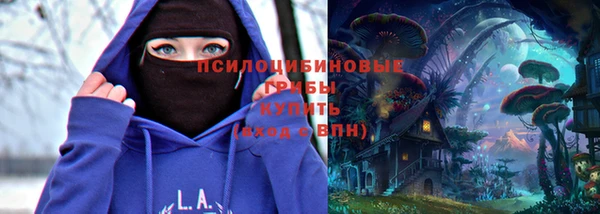 Альфа ПВП Бородино