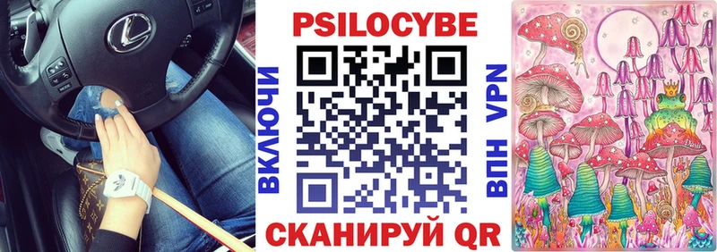 Псилоцибиновые грибы Psilocybe  Купить закладки  Верещагино 